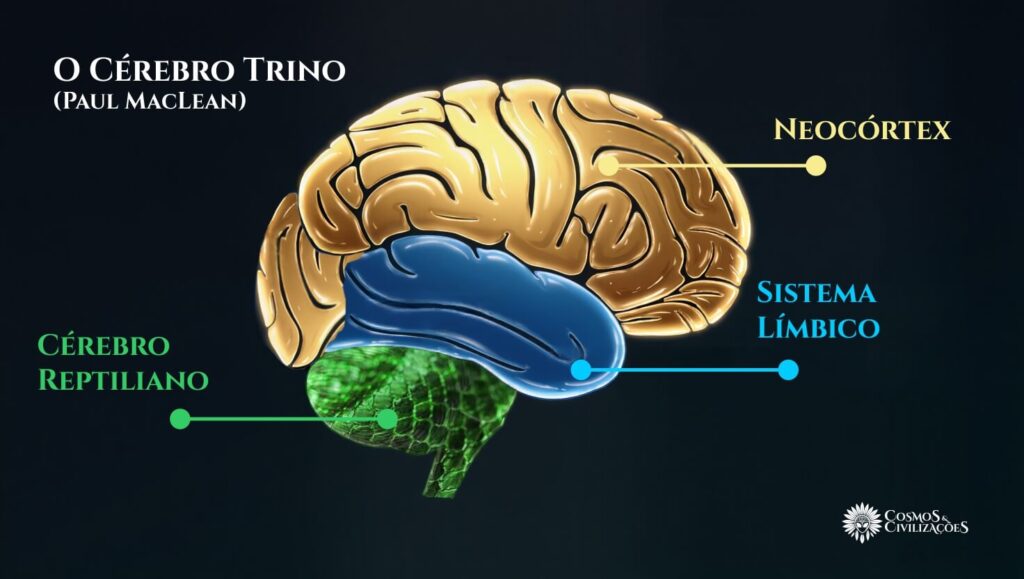 Diagrama do cérebro trino, mostrando complexo reptiliano base cerebral, provando assinatura genética Anunnaki no DNA humano